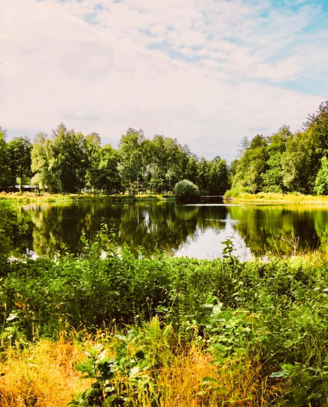 Modern Med Och Pool